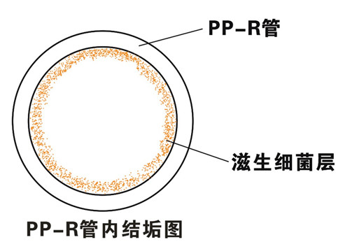 PP-R滲氧，易滋生細(xì)菌，有異味；腐蝕金屬連接件，降低使用壽命